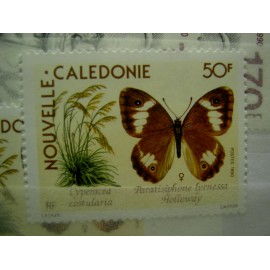 NOUVELLE CALEDONIE Num 590 ** MNH ANNEE 1990 Flore Papillon Butterfly