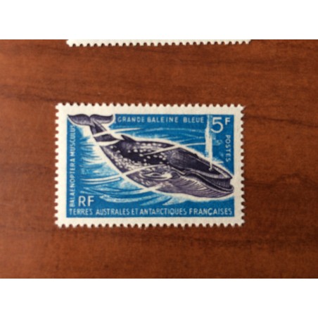 TAAF Yvert Num 22 Faune Marine Baleine Bleue ANNEE 1966
