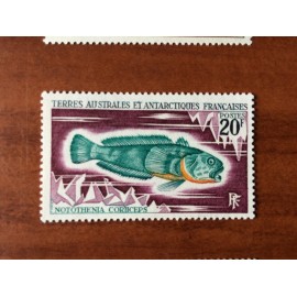 TAAF Yvert Num 36 Poissons fish  ANNEE 1971