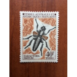 TAAF Yvert Num 41 Insectes ANNEE 1972