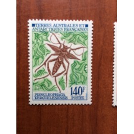 TAAF Yvert Num 42 Insectes ANNEE 1972