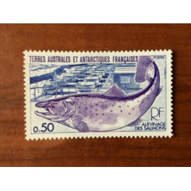 TAAF Yvert Num 71 Faune saumon fish poisson ANNEE 1977