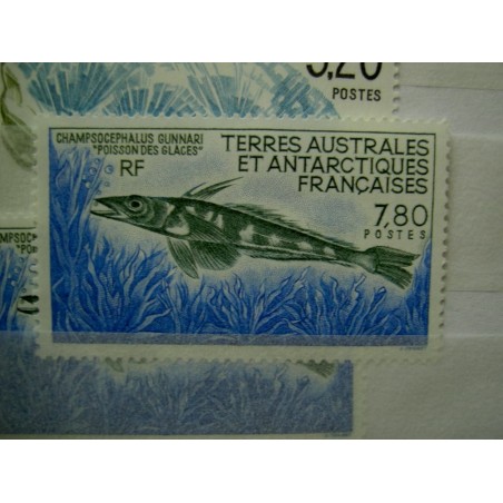 TAAF Yvert Num 161 Faune Poisson fish ANNEE 1991