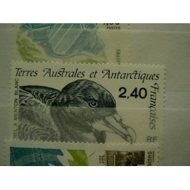 TAAF Yvert Num 204 Oiseau Bird Petrel ANNEE 1996