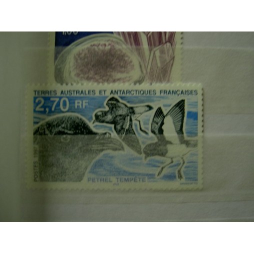 TAAF Yvert Num 214 Oiseau Bird Petrel ANNEE 1997