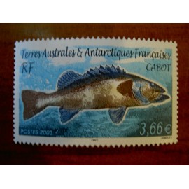 TAAF Yvert Num 359 Faune poisson Cabot fish ANNEE 2003