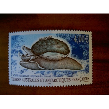 TAAF Yvert Num 411 Mollusque Gasteropode ANNEE 2005
