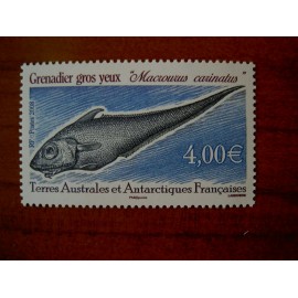 TAAF Yvert Num 505 Faune Poisson Fish ANNEE 2008
