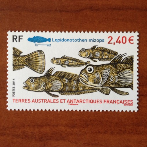 TAAF Yvert Num 690 Faune Fish Poisson ANNEE 2014