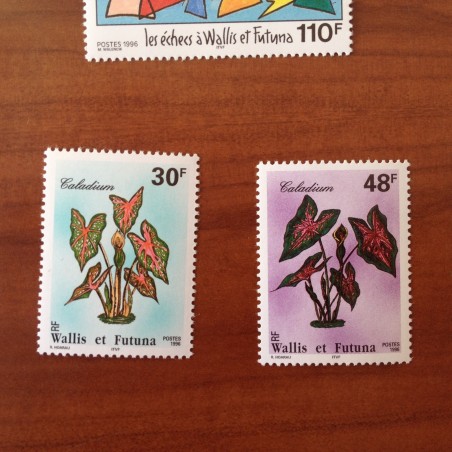 Wallis et Futuna 493-494 ** luxe sans charnière Flore Caladium 1996