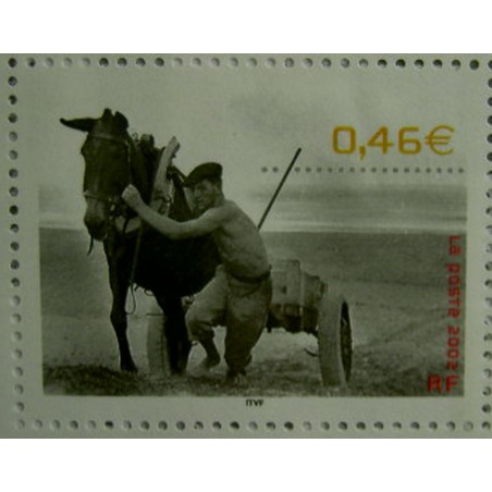 France 3519 ** Photo cheval en 2002