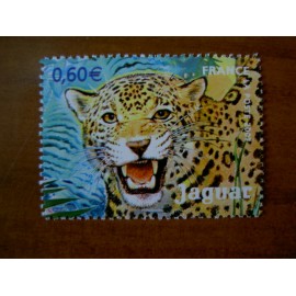 France 4035 ** Jaguar Guyane  en 2007