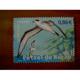 France 4036 ** Petrel Oiseaux Reunion  en 2007