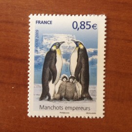 France 4351 ** Manchots  en 2009