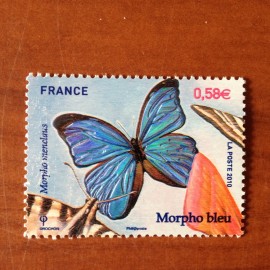 France 4497 ** Papillon Morpho bleu  en 2010