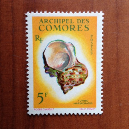 Comores 22 ** MNH Coquillages en 1962