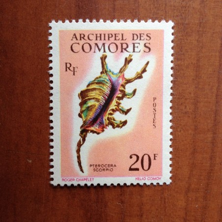 Comores 23 ** MNH Coquillages en 1962
