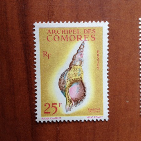 Comores 24 ** MNH Coquillages en 1962