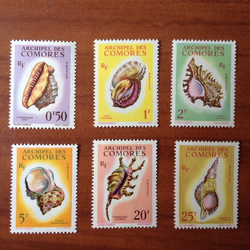 Comores 19-24 ** MNH Coquillages en 1962