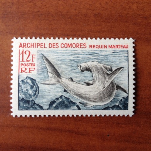 Comores 36 ** MNH Requin Marteau en 1966