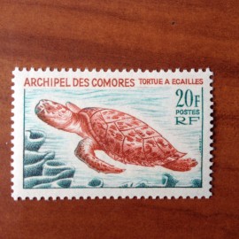 Comores 37 ** MNH Tortue en 1966