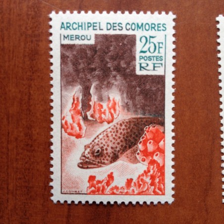 Comores 38 ** MNH Merou poisson fish en 1966