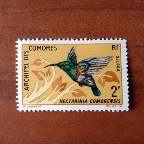 Comores 41 ** MNH Oiseaux Bird en 1967
