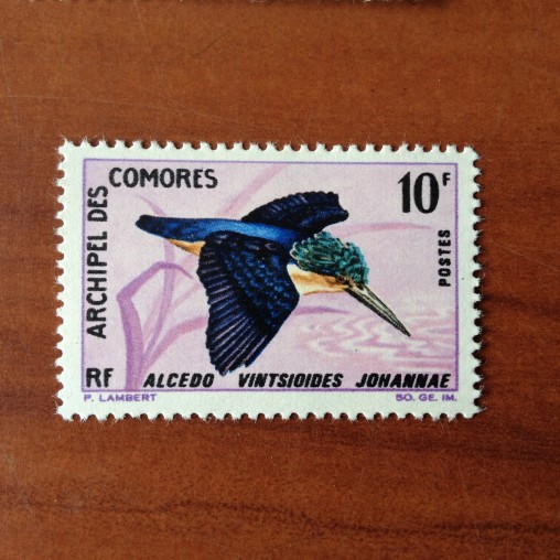Comores 42 ** MNH Oiseaux Bird en 1967