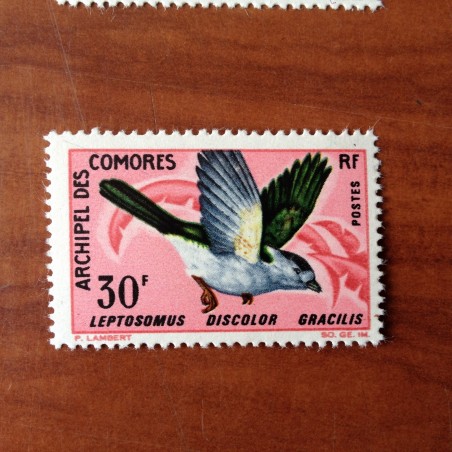 Comores 44 ** MNH Oiseaux Bird en 1967