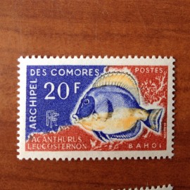 Comores 47 ** MNH Poisson fish en 1968
