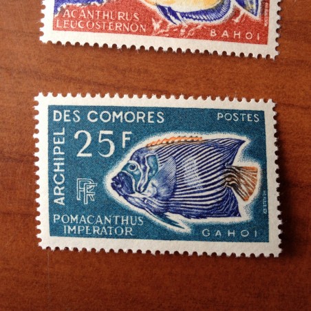 Comores 48 ** MNH Poisson fish en 1968