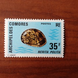 Comores 75 ** MNH Coquillages en 1971