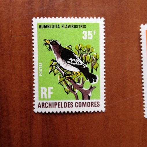 Comores 67 ** MNH Oiseaux Bird en 1971