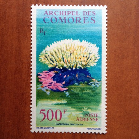 Comores PA 6  ** MNH Faune Flore aquatique en 1962