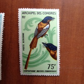 Comores PA 20  ** MNH Oiseaux en 1967