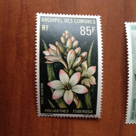 Comores PA 27  ** MNH fleurs en 1969