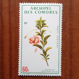 Comores PA 37  ** MNH Fleurs en 1971