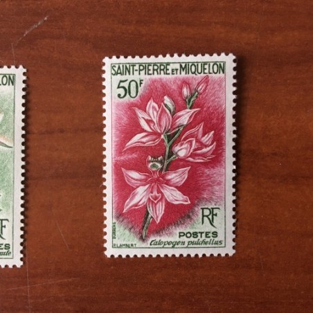 Saint Pierre et Miquelon 363 ** MNH Fleurs année 1962
