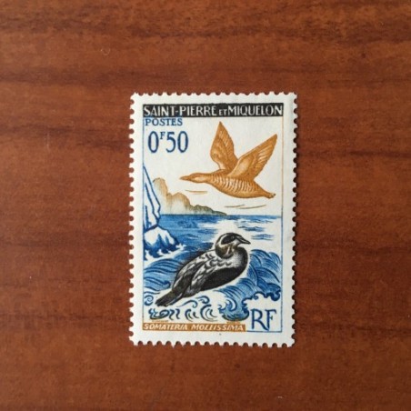 Saint Pierre et Miquelon 364 ** MNH Oiseaux Bird année 1963