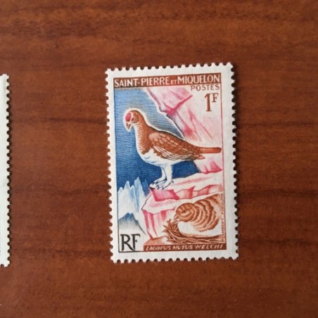 Saint Pierre et Miquelon 365 ** MNH Oiseaux Bird année 1963