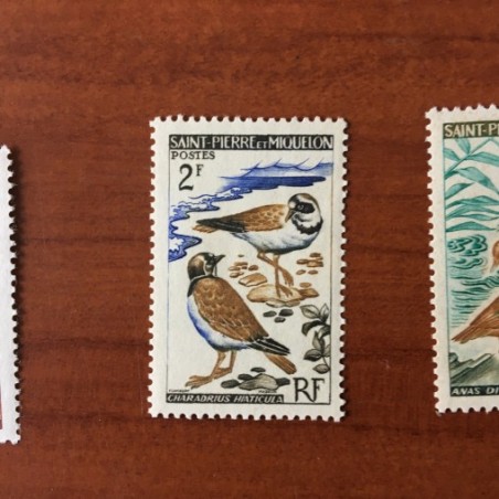 Saint Pierre et Miquelon 366 ** MNH Oiseaux Bird année 1963