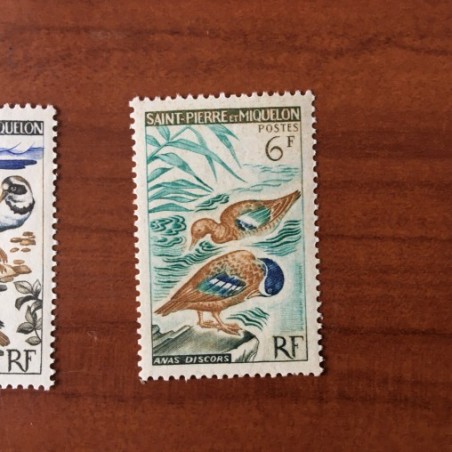 Saint Pierre et Miquelon 367 ** MNH Oiseaux Bird année 1963