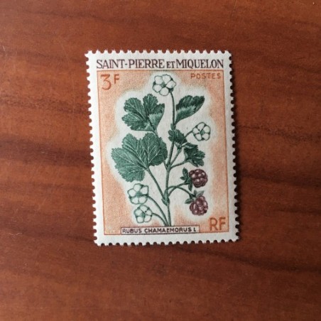Saint Pierre et Miquelon 401 ** MNH Fleurs année 1970