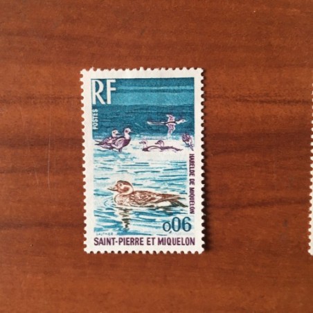 Saint Pierre et Miquelon 425 ** MNH Oiseau Bird année 1973