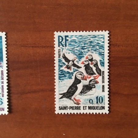 Saint Pierre et Miquelon 426 ** MNH Oiseau Bird année 1973