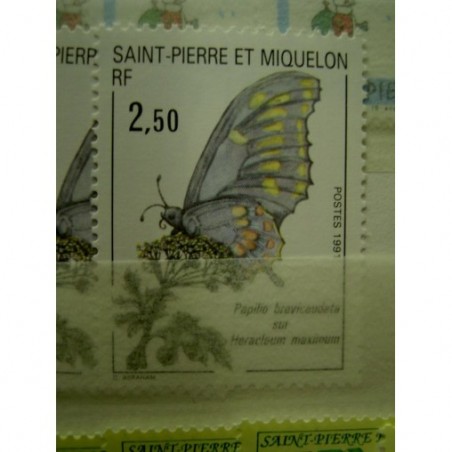Saint Pierre et Miquelon 534 ** MNH Papillon Butterfly année 1991