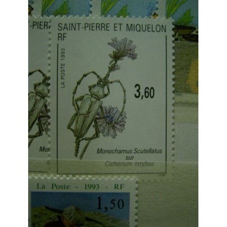 Saint Pierre et Miquelon 575 ** MNH Insecte année 1993