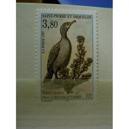 Saint Pierre et Miquelon 642 ** MNH Faune bird année 1997