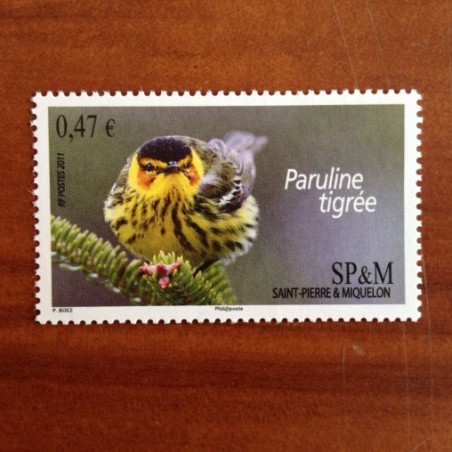 Saint Pierre et Miquelon 991 ** MNH Faune Bird Oiseau  année 2011