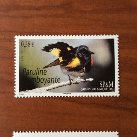 Saint Pierre et Miquelon 1124 ** MNH Faune Bird Paruline année 2015